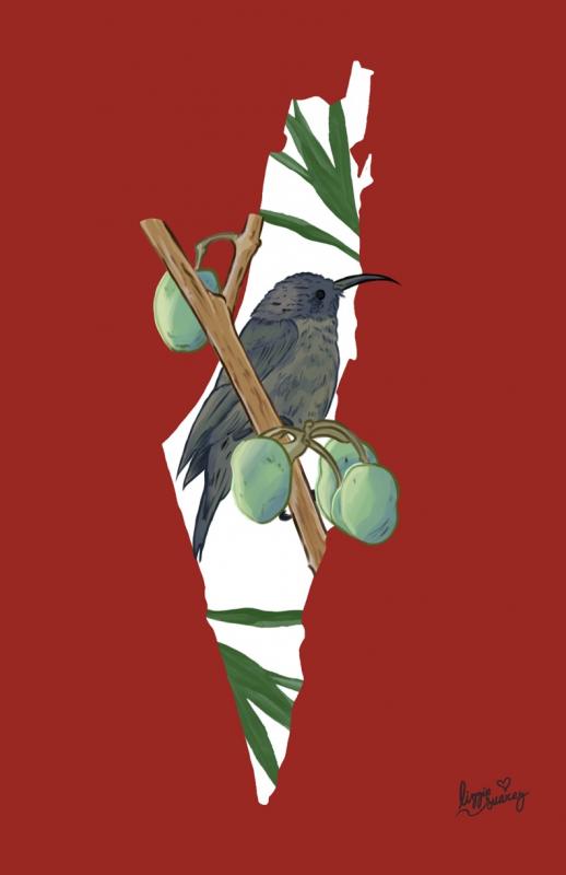 Palestinian Sunbird (by Lizzie Suarez - 2023)