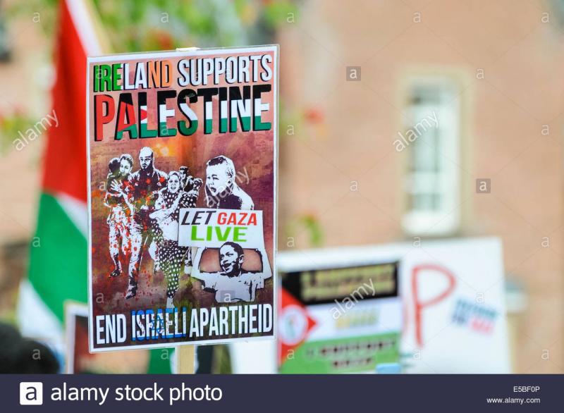 Ireland Supports Palestine (by Research in Progress  - 2014)