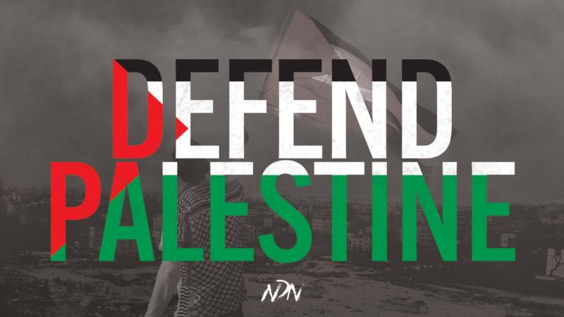 Defend Palestine - NDN (by Research in Progress  - 2023)