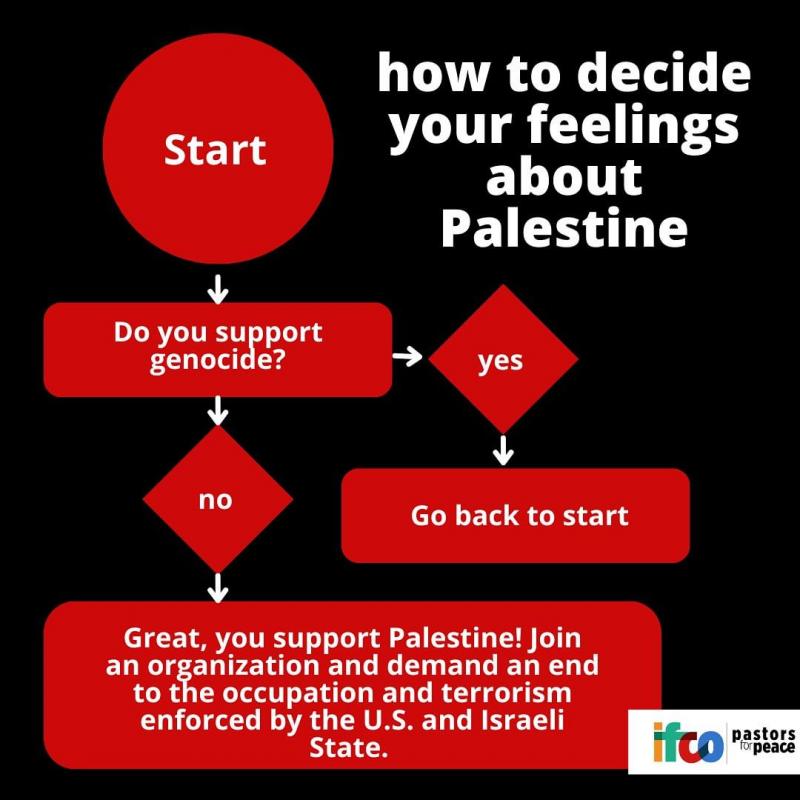 Your Feelings About Palestine (by Research in Progress  - 2023)