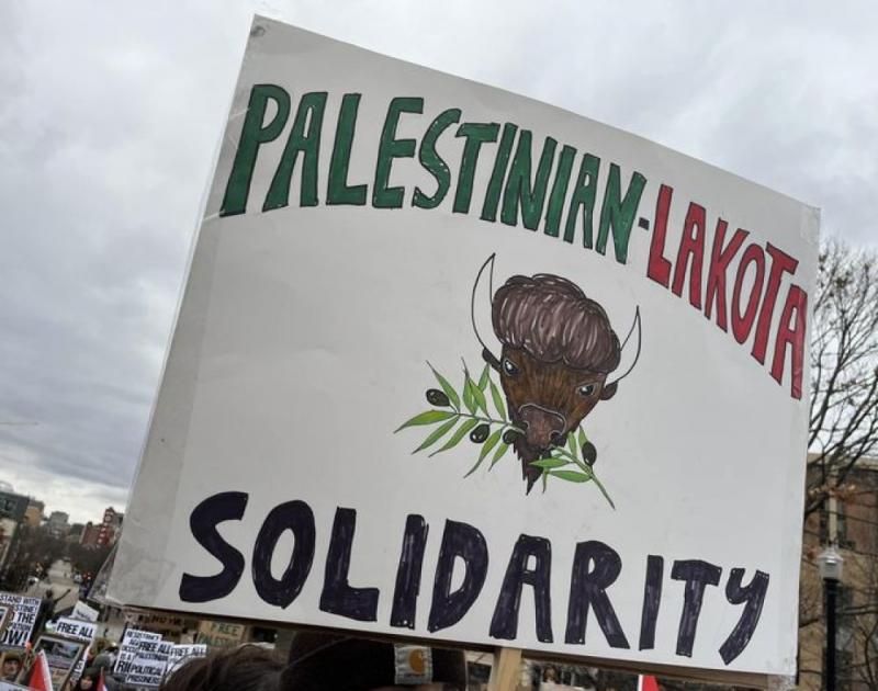 Palestinian-Lakota Solidarity (by Research in Progress  - 2023)