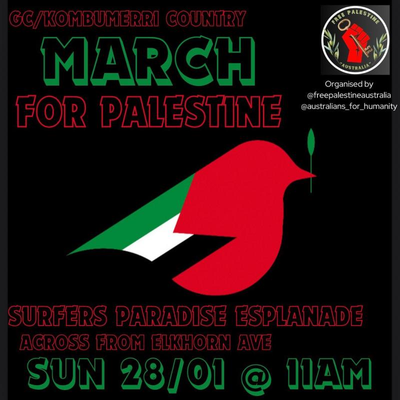 March for Palestine - Surfer's Paradise (by Research in Progress  - 2024)