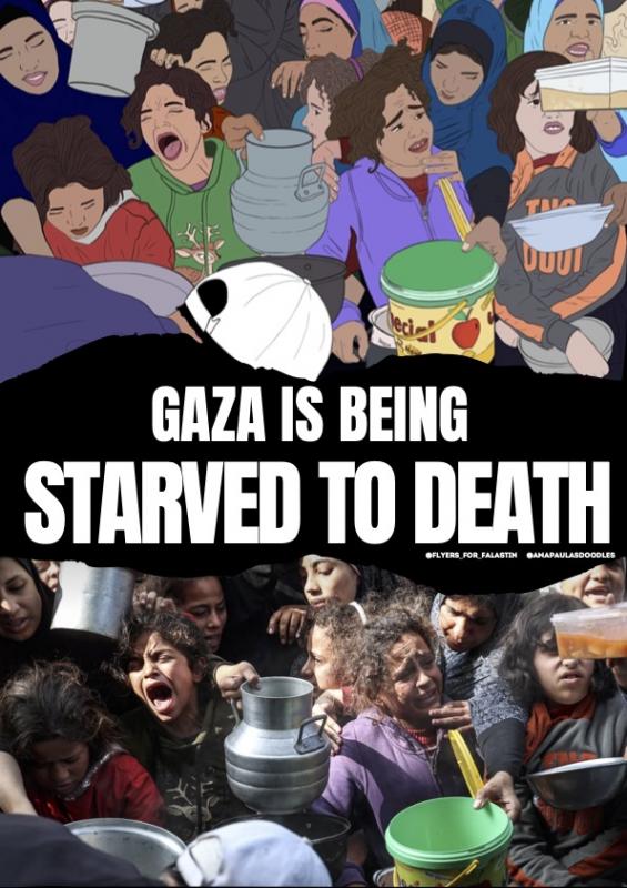 Gaza Is Being Starved to Death (by @anapaulasdoodles - 2024)