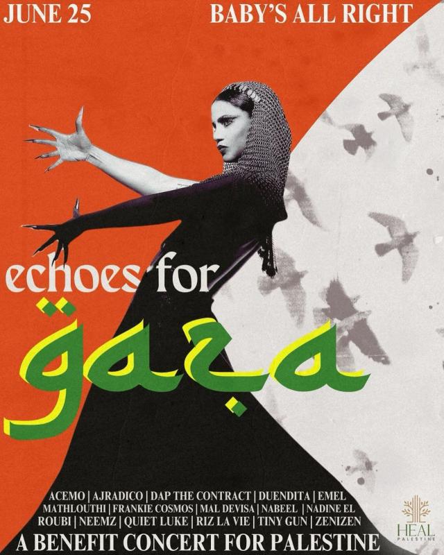 Echoes for Gaza (by Research in Progress  - 2024)