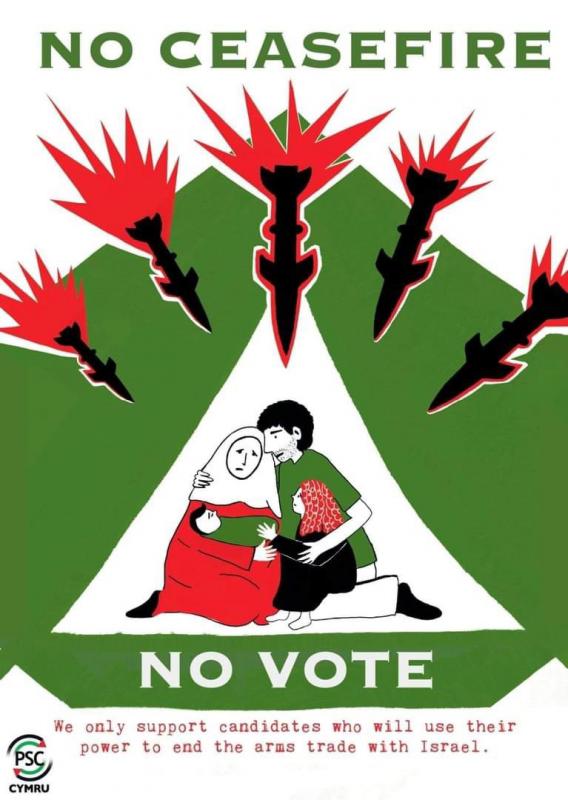 No Ceasefire - NoVote (by Research in Progress  - 2024)