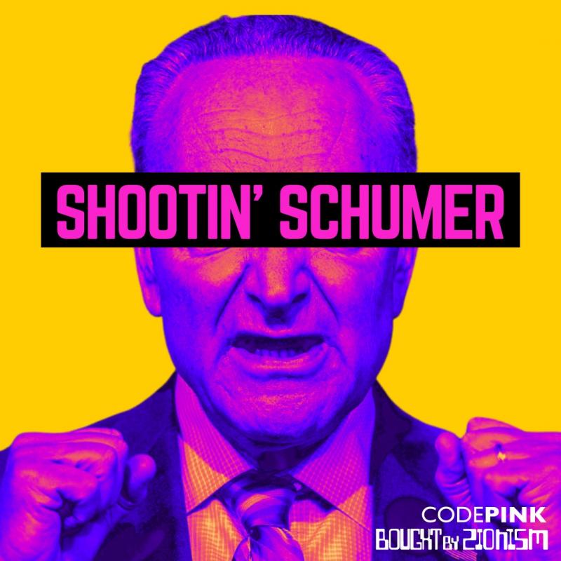 Shootin' Schumer (by Research in Progress  - 2024)