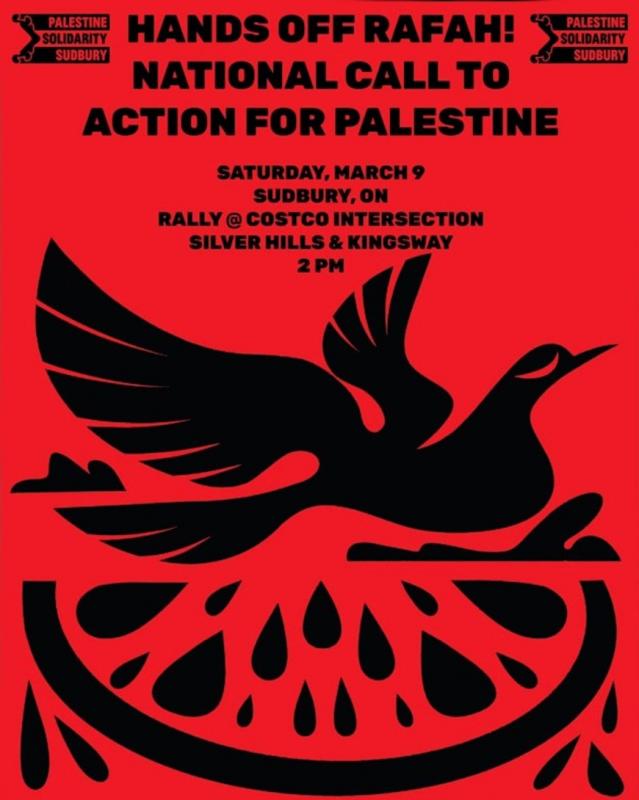 Action for Palestine (by Research in Progress  - 2024)