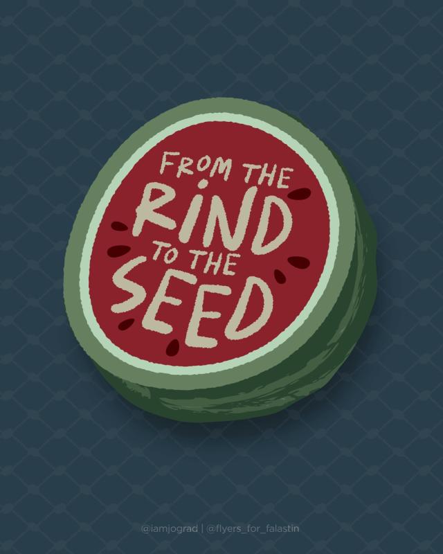 From the Rind to the Seed (by @iamjograd - 2024)