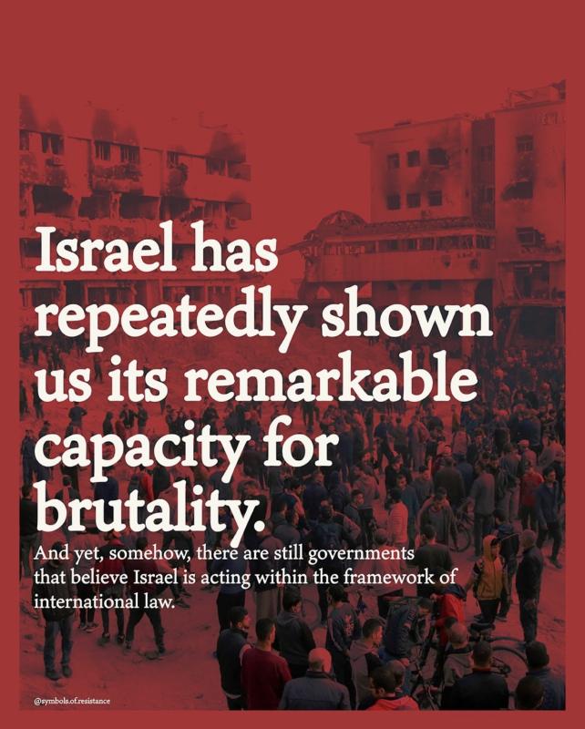 Remarkable Capacity for Brutality (by @symbols.of.resistance - 2024)