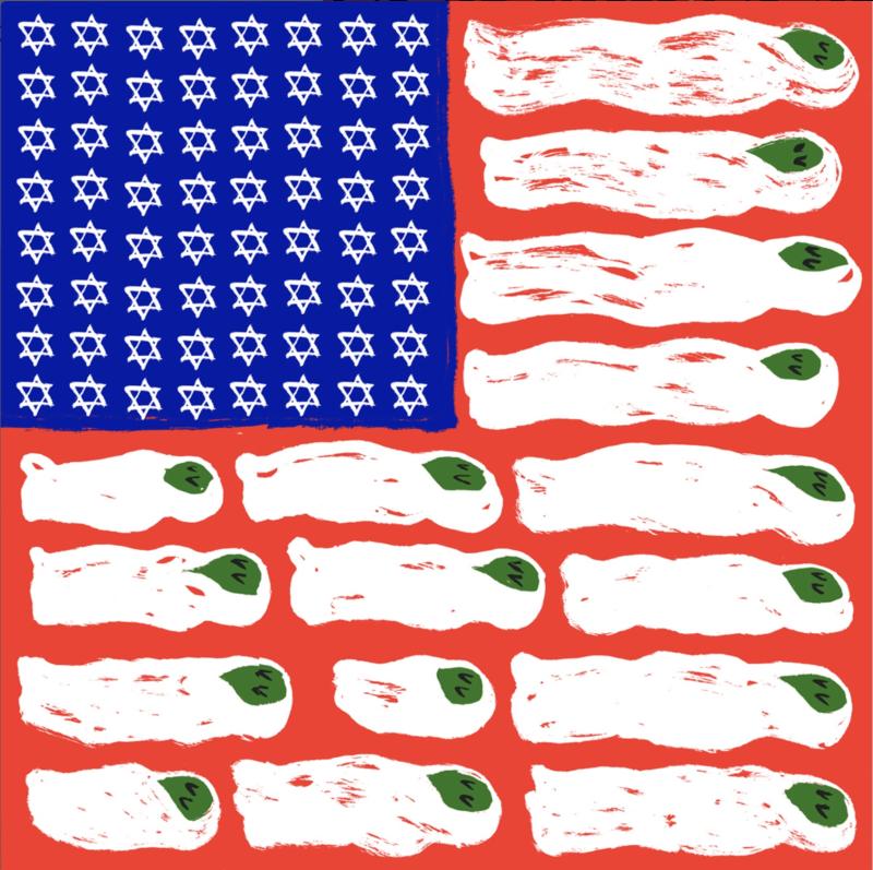 Biden's New American Flag (by Eline Van Dam  - 2024)